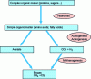Figure 17 - Methanization process