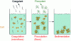 Figure 29 - Sedimentation technique combining coagulation and flocculation (Credit: Le monde en image)