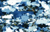 Figure 5 - Thin blade in gneiss (× 50)