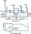 Figure 20 - View of a tunnel kiln and temperature profile (from 11)