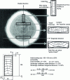 Figure 12 - Wood shrinkage and deformation during
drying