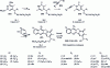 Figure 18 - Mixed fluorine synthesis for the preparation of 560 mappicine analogues (adapted from reference [46])