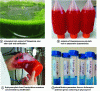 Figure 1 - Examples of pigments from different strains of microalgae