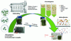 Figure 5 - Coupling of ball milling, centrifugation and microfiltration processes to extract soluble proteins from Chlorella vulgaris [94].