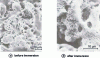 Figure 17 - Al2O3 coating on stainless steel before and after 18 weeks immersion in saline solution[20].