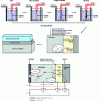 Figure 24 - Main stages of black anodizing and electrochemical exchanges