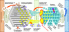 Figure 3 - Different mechanisms of degradation inside batteries [5] [Color figure
can be viewed at wileyonlinelibrary.com]