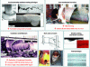 Figure 5 - Overview on some important ageing and degradation mechanisms in Ni-base
alloy, carbon, low-alloy and stainless steel components of light water
reactors [Color figure can be viewed at wileyonlinelibrary.com]