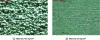 Figure 7 - Surface microstructure after IGC test-ISO 11846, on casts A and B
from alloy EN-AW6063 [Color figure can be viewed at wileyonlinelibrary.com]