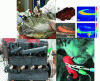 Figure 9 - Examples of corrosion cases in the cultural heritage field [15] [Color
figure can be viewed at wileyonlinelibrary.com]