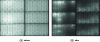 Figure 5 - Electroluminescence images of a group of six cells from a photovoltaic module: (a) before and (b) after being exposed to 300 thermal cycles ( –40 °C and 85 °C). The darkened areas around certain connection wires indicate their disconnection from the cell, whereas the light areas indicate significant current flow through the wires that are still welded to the cell’s busbars