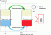 Figure 4 - Principle of a Chemical Loop Capture Process