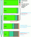 Figure 11 - Schematic representation of the development of the weathering film as the reaction progresses and location of the zone in which limiting transport may occur (thickness scale not representative).