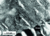 Figure 16 - MET microphotograph of an Icelandic basaltic glass altered under subglacial conditions (0.1 Ma). Glass/palagonite interface
