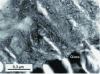 Figure 17 - TEM micrograph of an Icelandic basaltic glass sample altered under subglacial conditions (0.1 Ma). Interface between the intact glass and the alteration layer (known as palagonite)
