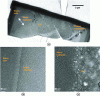 Figure 4 - MET observations of a SON68 glass sample weathered for 26 years at 90 °C in a confined granitic environment (based on [12])