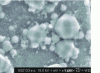 Figure 9 - SEM image of analcime-type zeolites formed during the weathering of SON68 glass at 90 °C and pH 11.5