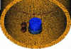 Figure 12 - View of tube and probe mesh
