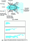 Figure 8 - Operation of a hot cathode torch 