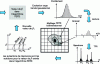 Figure 7 - Illustration of the two-dimensional FDTD method for calculating the dispersion diagram of a waveguide