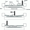 Figure 3 - Illustration of the screen printing process