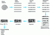 Figure 5 - Schematic illustration of a typical LTCC process