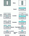 Figure 11 - Two processes for obtaining a metal or dielectric layer
