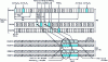 Figure 24 - Chronograms of internal pipelines in
2 x 2 microthreaded mode with spatial partitioning in the case of
reads