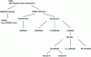 Figure 27 - Classification of cached memories