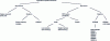 Figure 28 - Classification of dynamic RAMs for
specific applications