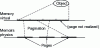 Figure 3 - Pagination: schematic diagram