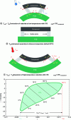 Figure 11 - Schematic unidirectional representation of the thermomechanical behavior of an electronic assembly during a thermal cycle and stress-strain hysteresis curves corresponding to the SAC305 alloy [4] (the parameter S refers to the surface area through which the fatigue crack propagates during thermal cycles)