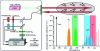 Figure 10 - CALISTO Raman lidar concept with 3 measurement channels (H2 at 416 nm, H2O at 408 nm, N2 at 387 nm) (source [8]).