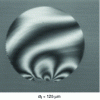 Figure 19 - Figure showing interferometric characterization of the end of a cleaved optical fiber (source CEA/Leti).