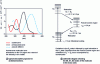 Figure 5 - Characterization of different types of azobenzene