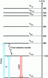 Figure 9 - Erbium ion spectroscopy