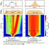 Figure 3 - Numerical simulations based on the generalized nonlinear Schrödinger equation of SC generation under abnormal and normal dispersion, as a function of propagation distance in the optical fiber (source: FEMTO-ST laboratory, CNRS, Université Marie et Louis Pasteur, Besançon).