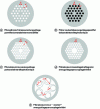 Figure 4 - Cross-sectional examples of microstructured fiber designs