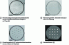 Figure 5 - Examples of microstructured optical fibers optimized for high power