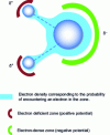 Figure 1 - Water, a polar molecule