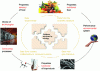 Figure 15 - Ontology-structured database: integration of data from various sources to establish relationships between environmental factors, functional, nutritional, and sensory properties of products, and process parameters