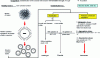 Figure 6 - Destabilization mechanisms of casein micelles (source: ENILBIO, Sébastien Roustel)