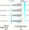 Figure 9 - Different membrane processes (Source: ENILBIO, Sébastien Roustel)
