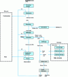 Figure 12 - Diagram of palm oil production (doc.
SPEICHIM)