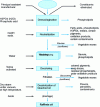 Figure 14 - Refining
diagram