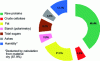 Figure 3 - Composition of soybeans (doc. ITERG)