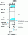 Figure 3 - Downflow evaporator with a surface area ranging from 1,000 to 12,000 m2 (according to Fives Cail)