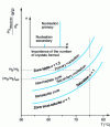 Figure 6 - Regions of the supersaturation graph