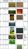 Figure 1 - Main data (2006-2007) on seeds harvested in France (from [1])