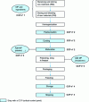 Figure 3 - The main PCCs in the ice cream production process